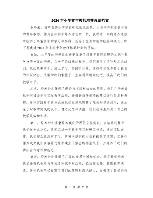 2024年小学青年教师培养总结范文