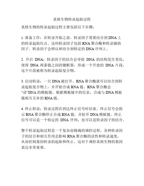 真核生物转录起始过程