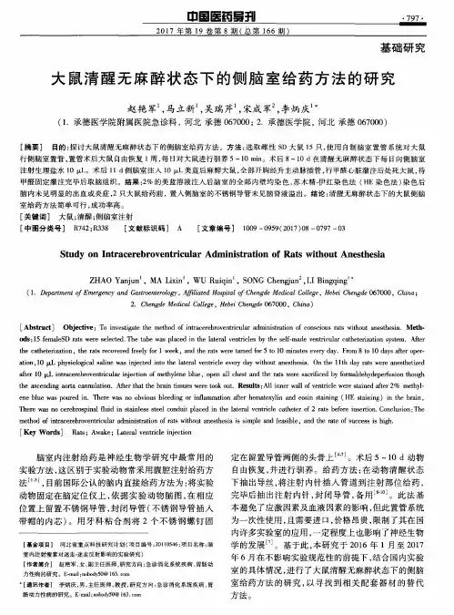 大鼠清醒无麻醉状态下的侧脑室给药方法的研究