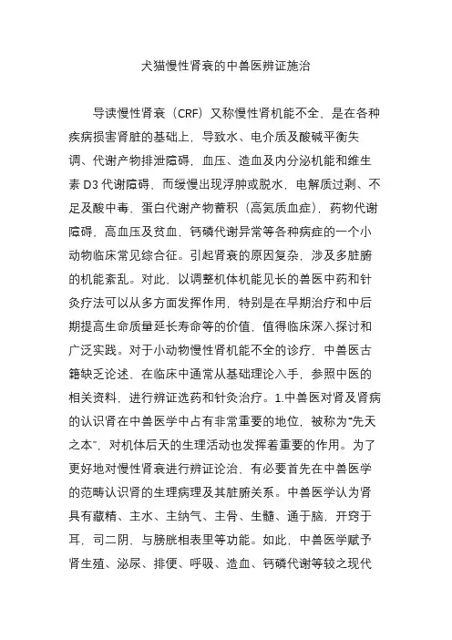 犬猫慢性肾衰的中兽医辨证施治