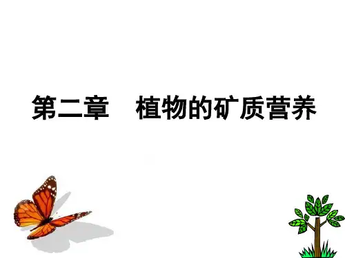 第二章植物的矿质营养 ppt课件