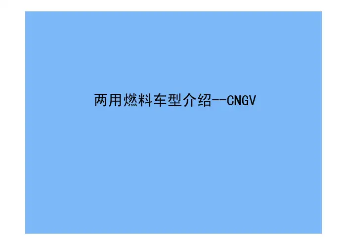 CNG系统介绍