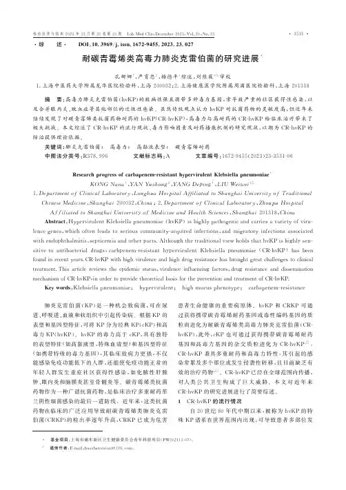 耐碳青霉烯类高毒力肺炎克雷伯菌的研究进展