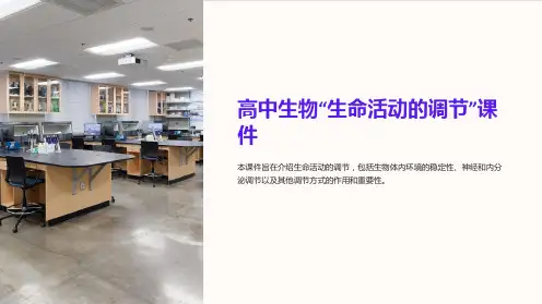 《高中生物“生命活动的调节”课件》