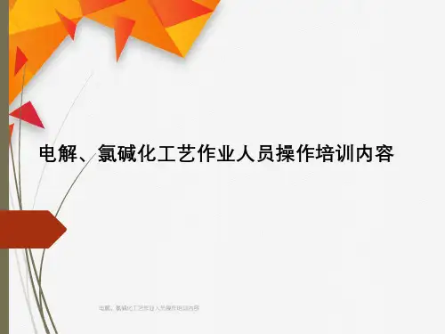 电解、氯碱化工艺作业人员操作培训内容