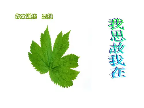 作文训练 思维PPT课件