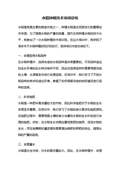 水稻种植技术培训总结