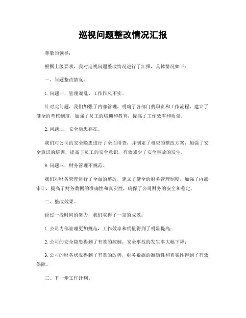 巡视问题整改情况汇报