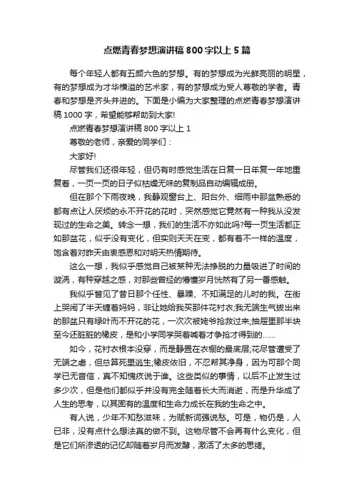 点燃青春梦想演讲稿800字以上5篇