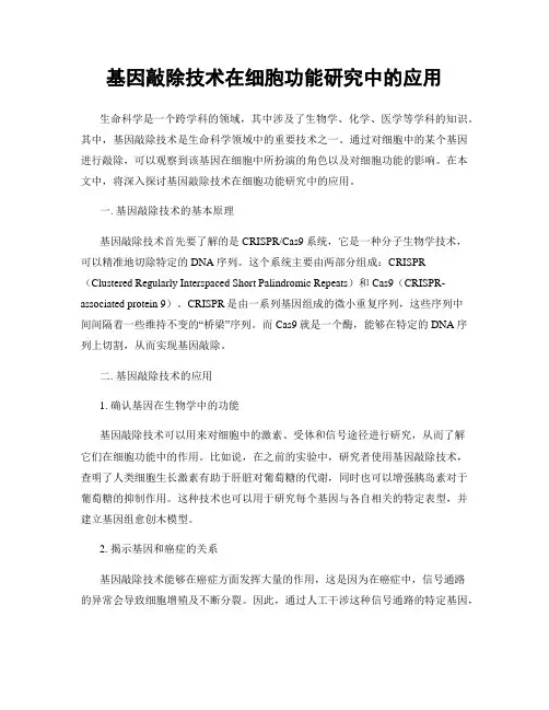 基因敲除技术在细胞功能研究中的应用