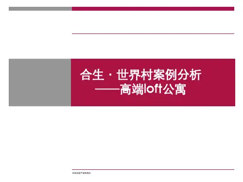 合生世界村案例分析