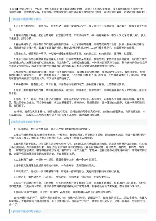 描写春天植物的句子摘抄（5篇）