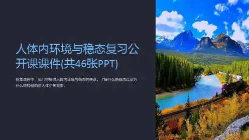 人体内环境与稳态复习公开课课件(共46张)