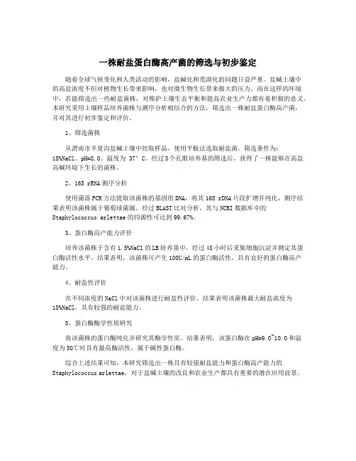 一株耐盐蛋白酶高产菌的筛选与初步鉴定