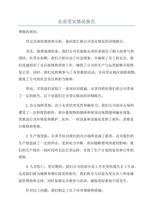 企业受灾情况报告