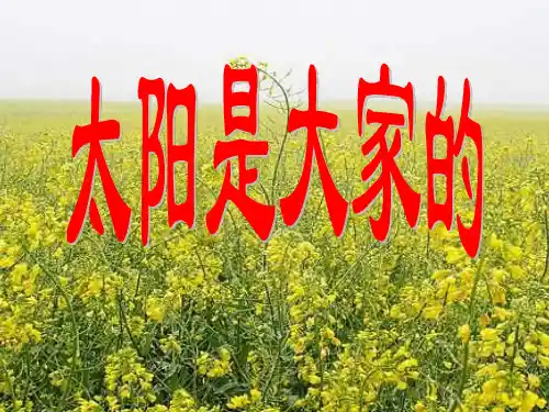 太阳是大家的_ppt