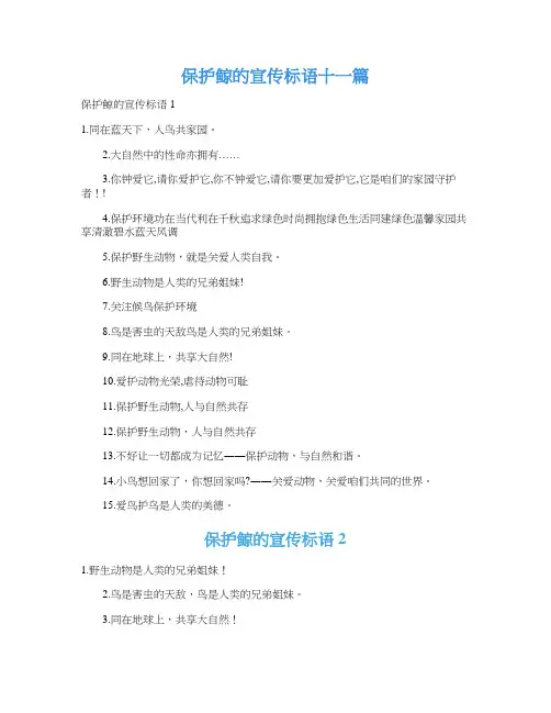 保护鲸的宣传标语十一篇