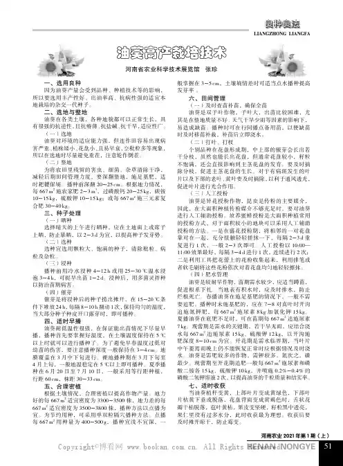 油葵高产栽培技术