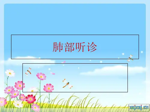 肺部听诊 PPT
