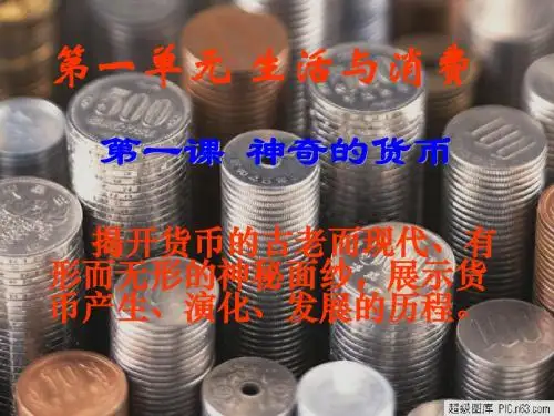 高中政治(新课标)必修一1.1揭开货币的神秘面纱(课件)