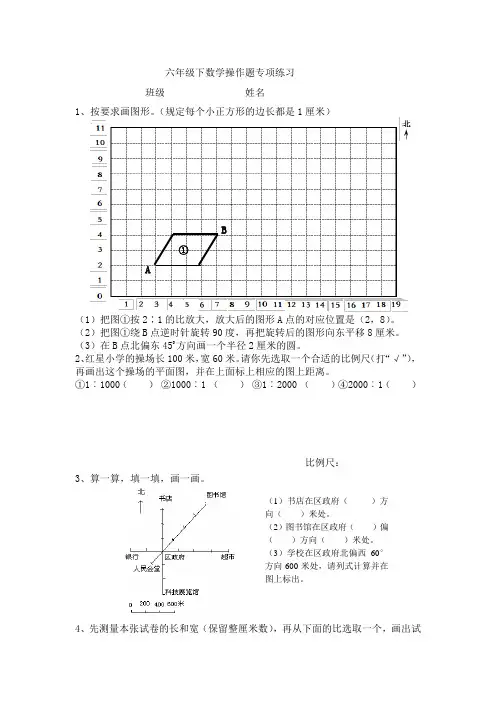 六年级下数学操作题专项练习