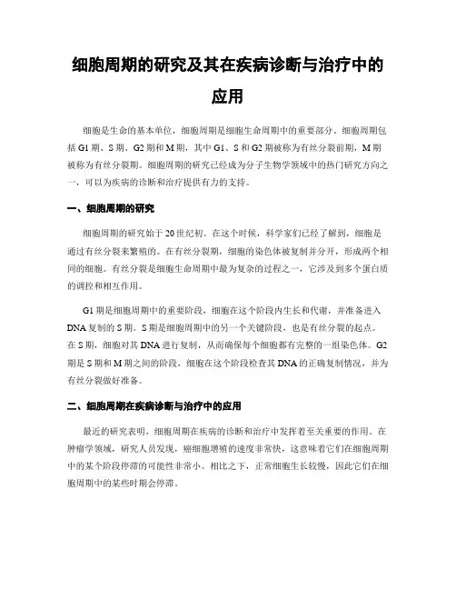 细胞周期的研究及其在疾病诊断与治疗中的应用