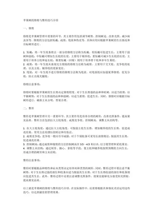 苹果树的修剪与整形技巧介绍