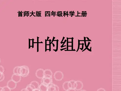 四年级科学上册叶的组成2课件首师大版