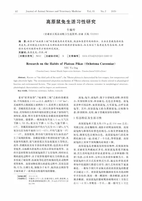 高原鼠兔生活习性研究