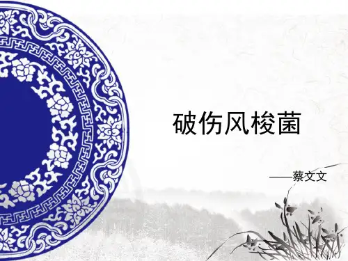 破伤风梭菌