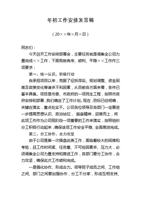 年初工作安排发言稿