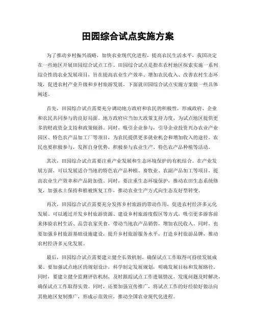 田园综合试点实施方案