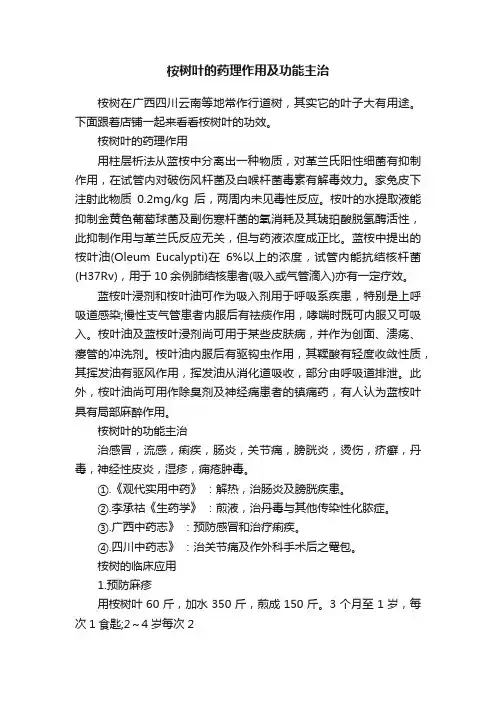 桉树叶的药理作用及功能主治