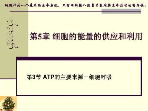 人教版教学课件云南省弥勒县庆来中学2011-2012学年高一生物 细胞的能量的供应和利用说课课件(课件)