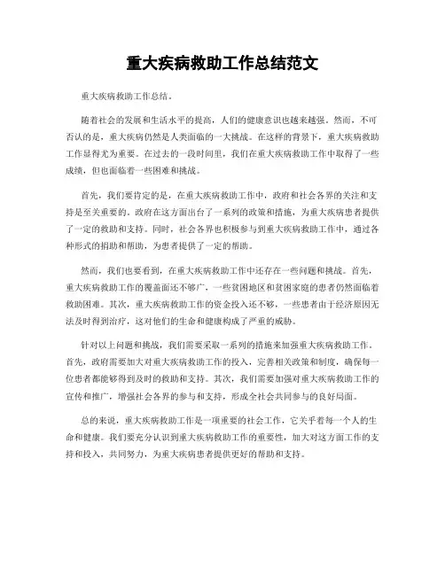重大疾病救助工作总结范文