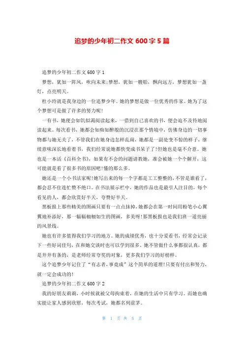 追梦的少年初二作文600字5篇