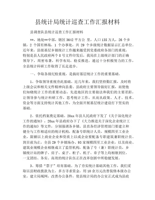 县统计局统计巡查工作汇报材料