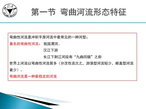 河床演变学-第二章39页PPT