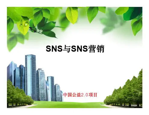 SNS与SNS营销综合论述(pdf 39页)