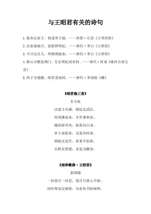 与王昭君有关的诗句