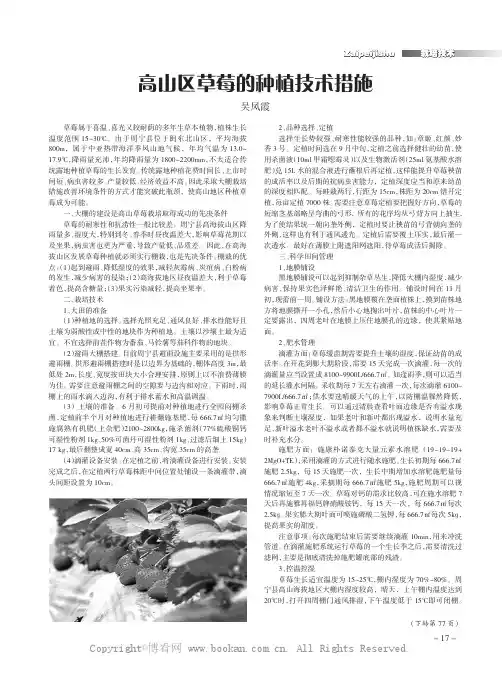 高山区草莓的种植技术措施