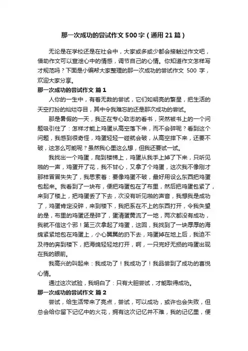 那一次成功的尝试作文500字（通用21篇）