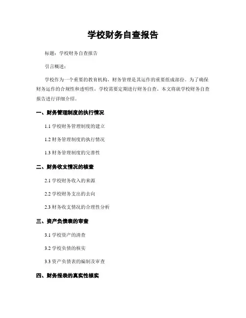 学校财务自查报告
