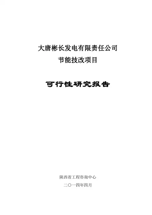 大唐可行性报告