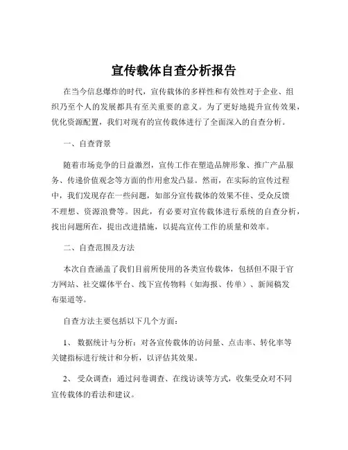 宣传载体自查分析报告