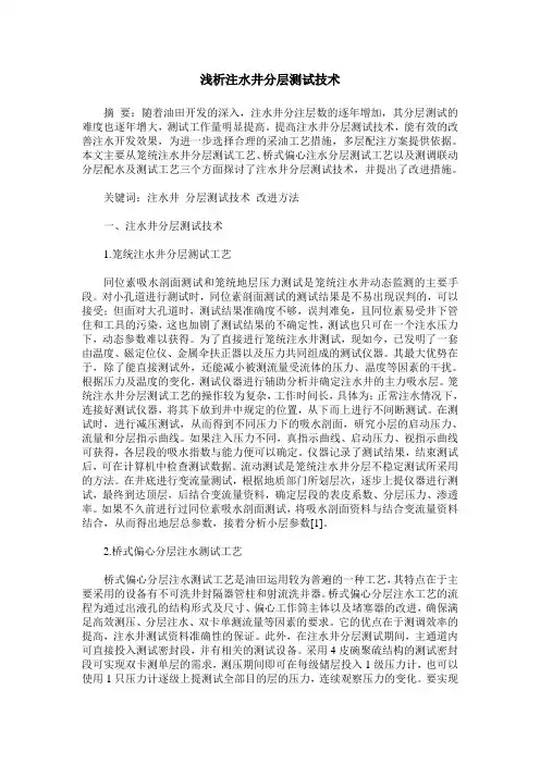 浅析注水井分层测试技术