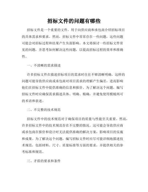 招标文件的问题有哪些