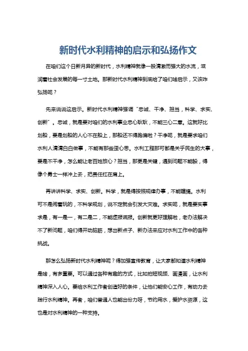 新时代水利精神的启示和弘扬作文
