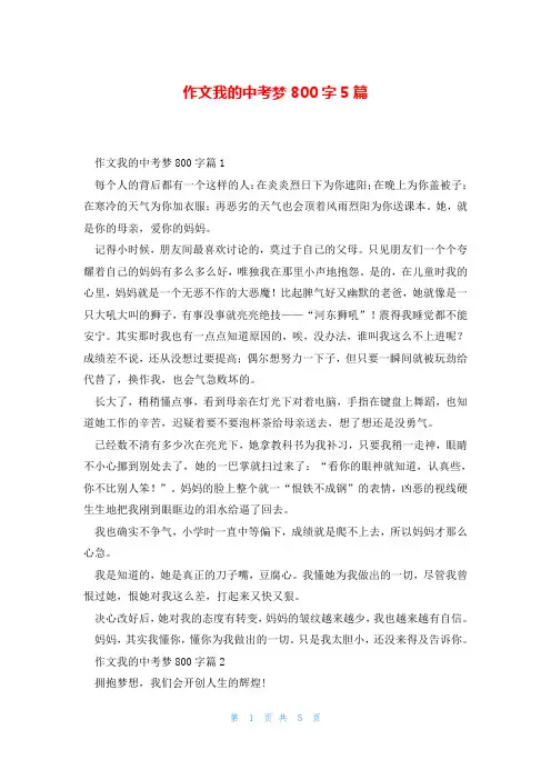 作文我的中考梦800字5篇
