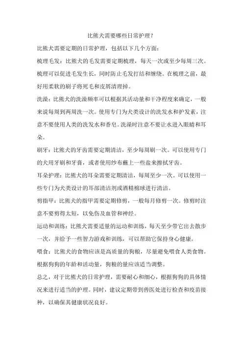 比熊犬需要哪些日常护理